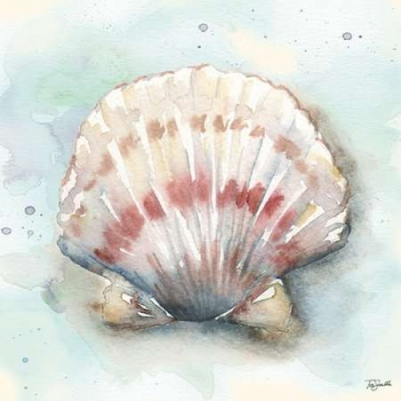 Watercolor Shells VI Poster Print by Tre Sorelle Studios - Item # VARPDXRB9496TS